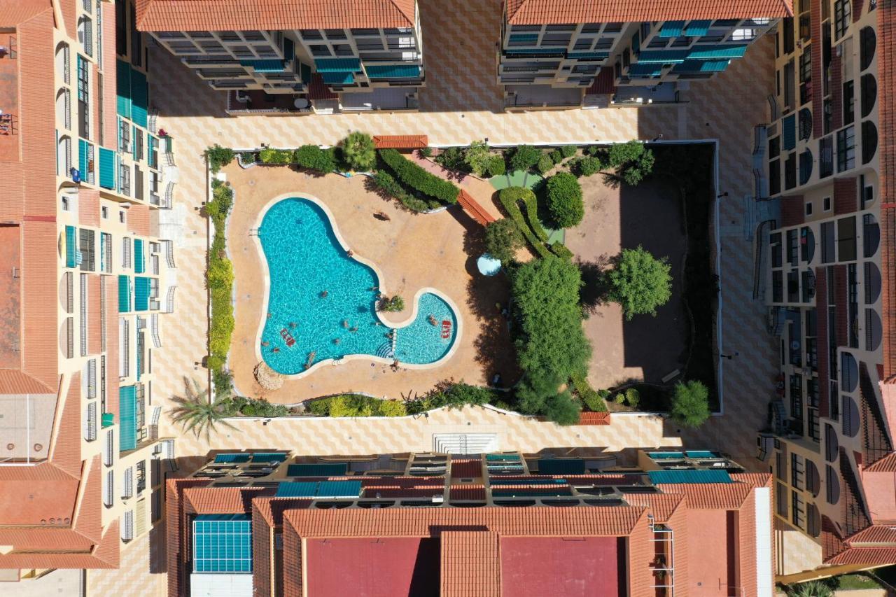 Vinamar Iii - Sunny La Mata Appartement *