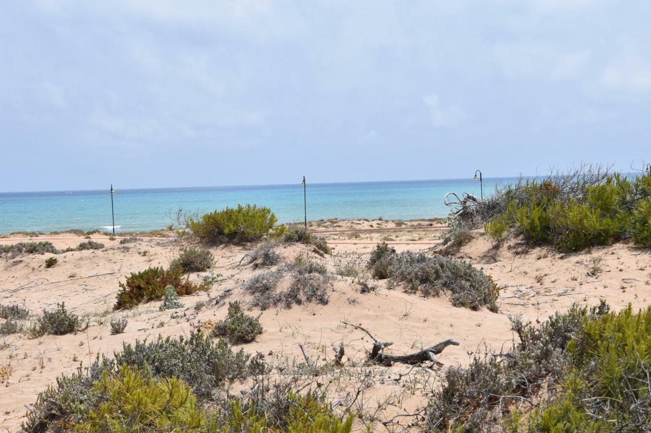 Vinamar Iii - Sunny La Mata Appartement