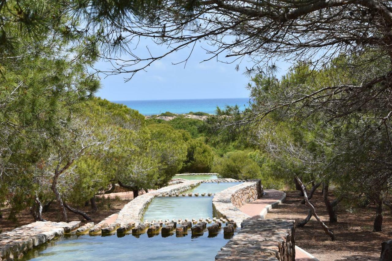 Vinamar Iii - Sunny La Mata * La Mata (Torrevieja)